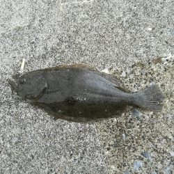 リバーフィッシング