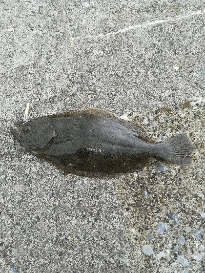 リバーフィッシング