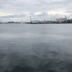 久しぶりの紀州釣り