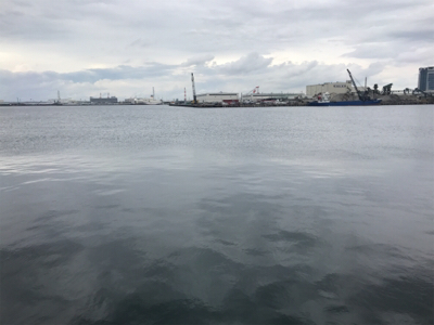 久しぶりの紀州釣り