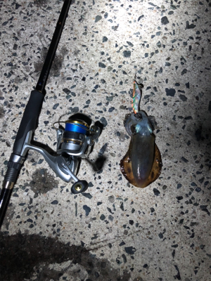 仕事終わりエギング