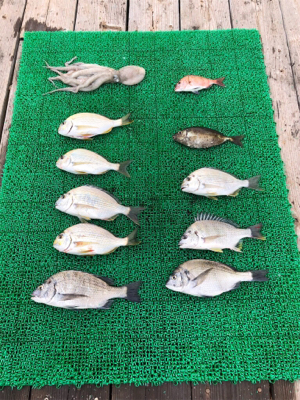 悪天候の中なんとか・・・