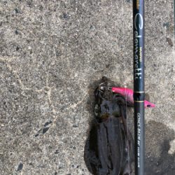 1人の時間を満喫