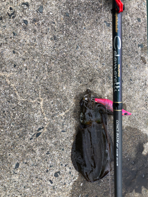 1人の時間を満喫