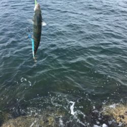 愛想無い………