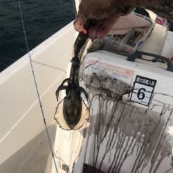 マイボート釣行