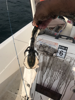 マイボート釣行