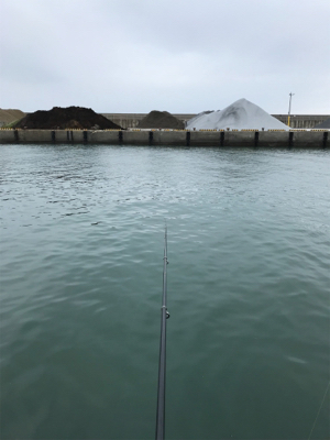 大磯港でサビキ釣り