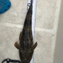 浜名湖ボートでマゴチ爆釣