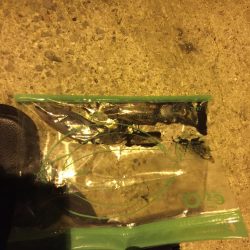 台風が来る前に。