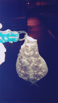 久々のライトゲーム