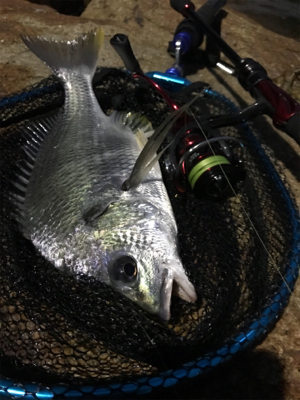 ブリームゲーム