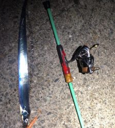 台風前の駆け込みタチウオ