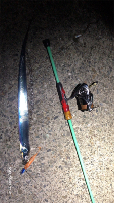 台風前の駆け込みタチウオ