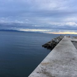 何匹釣れたか、わかりません。