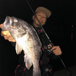 ナイトロからショアジギ