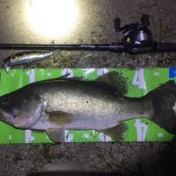 台風前にビッグフィッシュ！