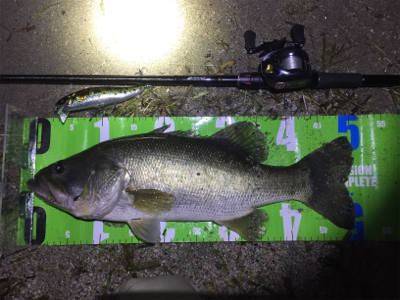 台風前にビッグフィッシュ！