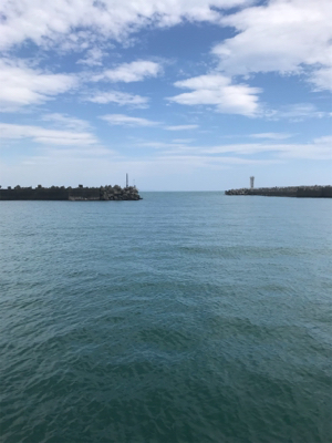 大磯港でサビキ釣り