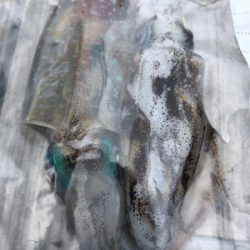 雨中のエギング