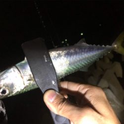 ライトゲーム！