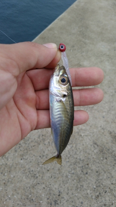 ちっちゃい(-_-;)