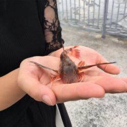 まさかの！！！！！