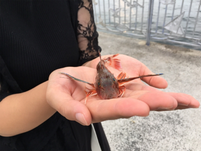 まさかの！！！！！