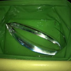 台風後の調査！