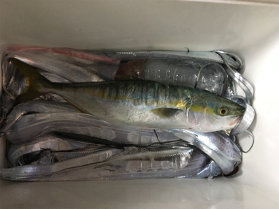 爆釣！！！！！！