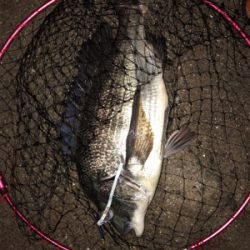 夢舞大橋付近です