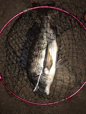 夢舞大橋付近です