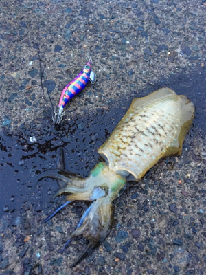 雨にも負けず釣行！