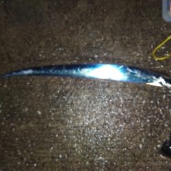 ルアーでタチウオ3GET