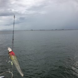 夕方雨が止んでいたのでー