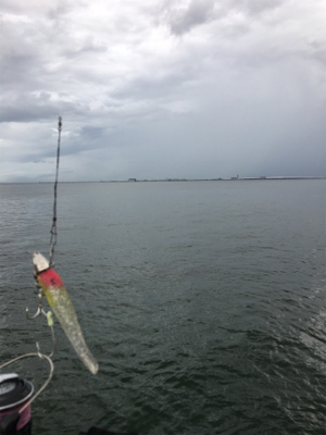 夕方雨が止んでいたのでー
