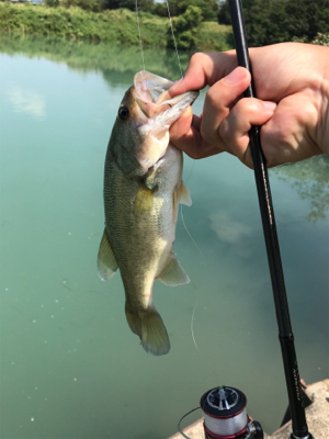 旧吉野川最上流