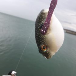 気づけば夕方でした(苦笑)