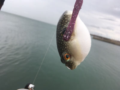 気づけば夕方でした(苦笑)