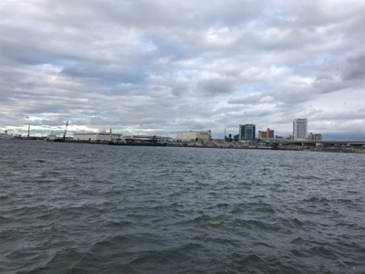 今日はサビキで。