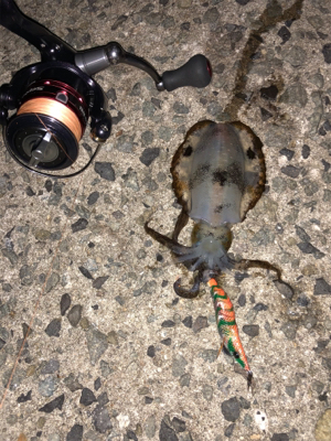 明日の晩ごはん