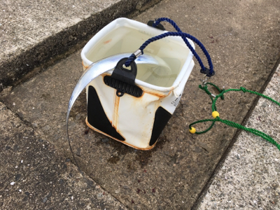 マナーが悪すぎますね