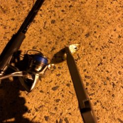 濁りがきつい…