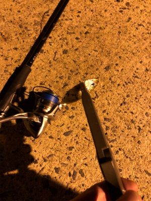 濁りがきつい…