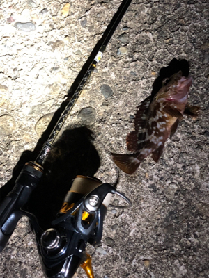 高砂ガシリング