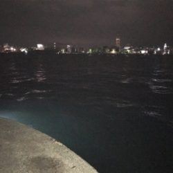 食品コンビナートにて。