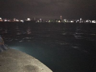 食品コンビナートにて。