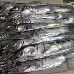 とうとうホームにも、やってきた！