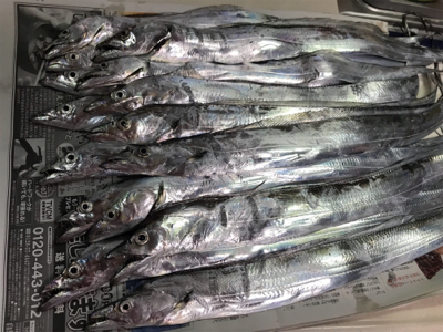 とうとうホームにも、やってきた！