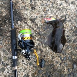 短時間エギング